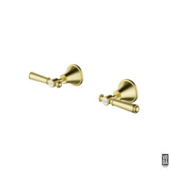 Cambridge Wall Top Assemblies with Brass Handle Brushed Gold