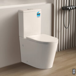 Osaze Rimless Back-to-Wall Toilet Suite Matte White