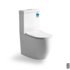 Alda Rimless Back-to-Wall Toilet Suite Glossy White